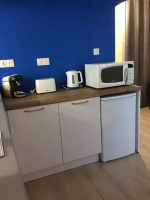 a kitchen with a counter with a microwave and a refrigerator at Le Montréalais in Montréal