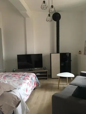 a living room with a flat screen tv and a bed at Le Montréalais in Montréal