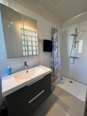 a bathroom with a sink and a shower at L'esplanade, appartement en centre-ville au calme in Puisserguier