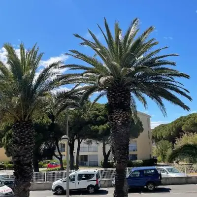 APPARTEMENT T2 GRUISSAN PLAGE DANS RÉSIDENCE CALME