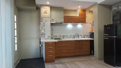 a kitchen with wooden cabinets and a black refrigerator at T2 tout confort, parking gratuit, vue lac et nature in Revel