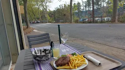 a table with a plate of food and french fries at T2 tout confort, parking gratuit, vue lac et nature in Revel