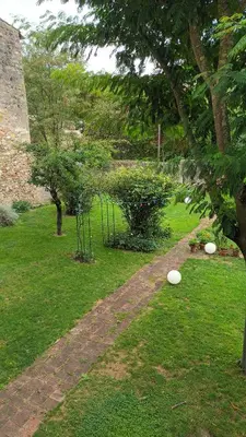 two frisbees laying on the grass in a yard at MAISON ALETEIA*** DECOUVERTE ET SERENITE in Alet-les-Bains