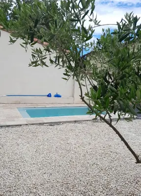 a tree in front of a swimming pool at Gite des Platanes in Belvèze-du-Razès