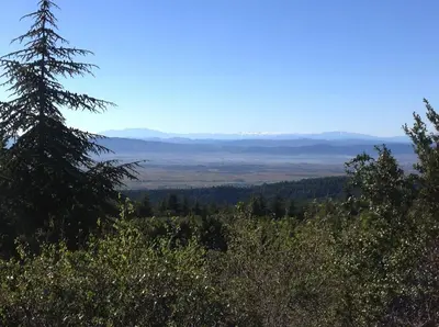 a view from the top of a hill with a tree at La Souqueto in Mirepeisset