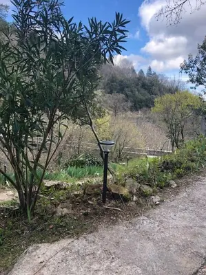 a birdbath in a garden next to a tree at La Bergerie in Saint-Vincent