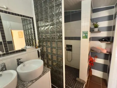 a bathroom with a sink and a shower at LE PETIT CLOS in Fontjoncouse