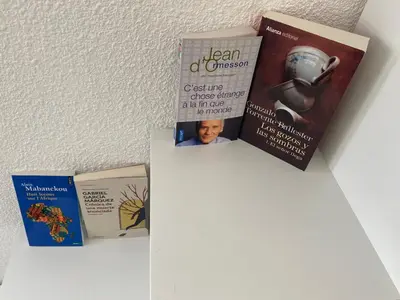 four books sitting on top of a shelf at Best cocooning au calme avec parking privé in Carcassonne