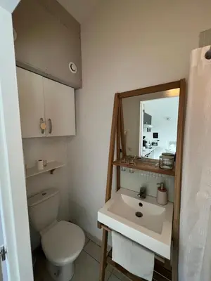 a bathroom with a toilet and a sink and a mirror at Studio RIQUET indépendant attenant à Villa in Capestang