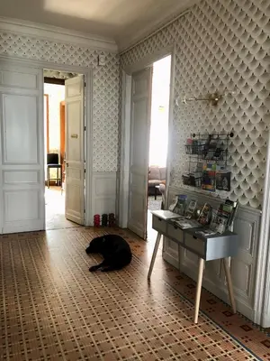 a black dog laying on the floor in a room at La Grande Maison Mazamet in Mazamet