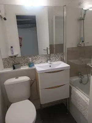 a bathroom with a toilet and a sink and a shower at Studio Gruissan La Presqu'île 2 in Gruissan