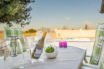 a bottle of wine and a bowl of lime on a table at Maison des papillons in Ouveillan
