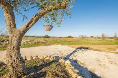 a basket hanging from a tree in a field at Maison des papillons in Ouveillan