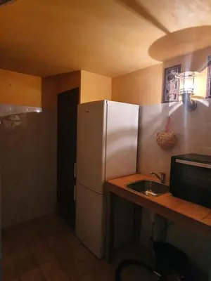a small kitchen with a refrigerator and a sink at Très belle maison chaleureuse au coeur de Mirepoix in Mirepoix