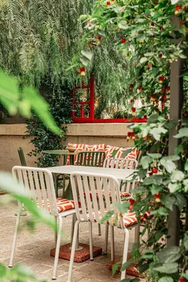 a table and chairs sitting next to a hedge with roses at Hôtel Le Mosaïque in Narbonne