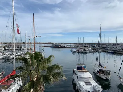 a group of boats docked in a marina with a palm tree at Appartement vue mer in Gruissan