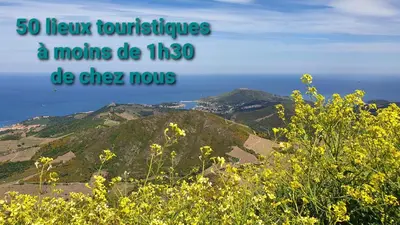 a view of a mountain with yellow flowers in the foreground at MAURY CAT'STUDIO 66 in Maury
