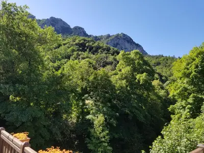 a forest of trees with mountains in the background at LA BOULZANE in Puilaurens