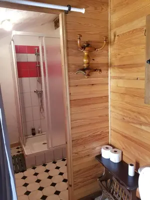 a bathroom with a shower and a toilet and a sink at LA BOULZANE in Puilaurens