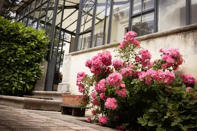 a bunch of pink flowers in front of a building at LaFabriek in Canet d'Aude