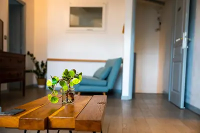 a vase of flowers on a table in a living room at Chez la fille de l éclusier in Castelnaudary