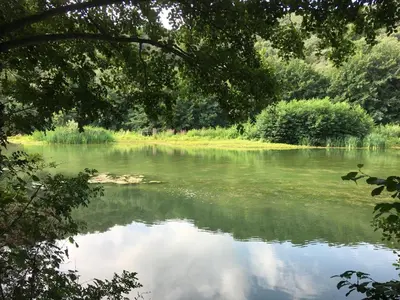 a view of a river with trees and grass at Coeur de nature in Rasiguères