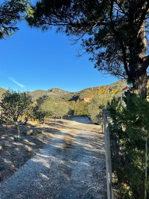 a dirt road with trees and mountains in the background at Coeur de nature in Rasiguères