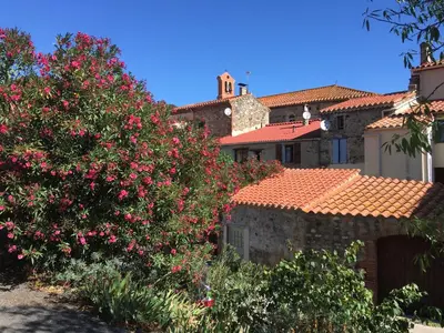 a house with red tile roofs and a bush with pink flowers at Coeur de nature in Rasiguères