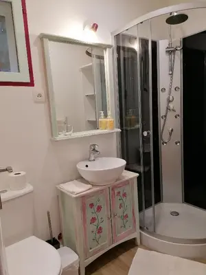 a bathroom with a sink and a shower at Charmant logis au coeur de Mirepoix in Mirepoix