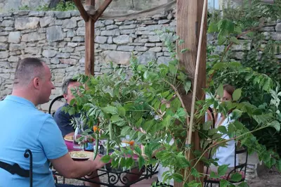 a man in a blue shirt standing next to a tree at CheRiedel Bed & Breakfast & Art Gallery in Azillanet