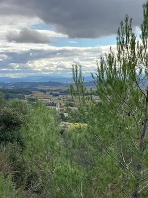 a view from the top of a hill with trees at CheRiedel Bed & Breakfast & Art Gallery in Azillanet