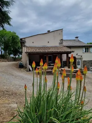 a group of flowers in front of a building at l'Oeil de Carcassonne in Caudebronde