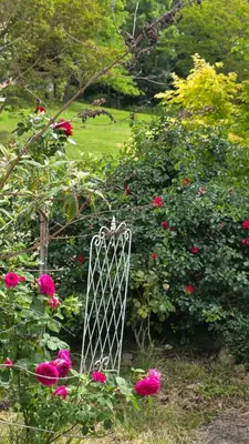 a metal gate in a garden with pink roses at Chateau de Pourpry in Damiatte