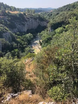 a view of a canyon with trees and a river at Le Chalet in Saint-Jean-de-Minervois