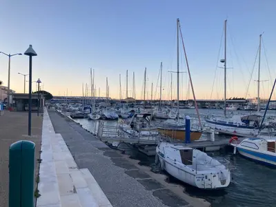 a group of boats docked in a harbor at Appartement en centre ville avec roof top in Port-la-Nouvelle
