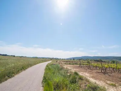 a dirt road in the middle of a field at Elegant Villa in Sainte Valière in Sainte-Vallière