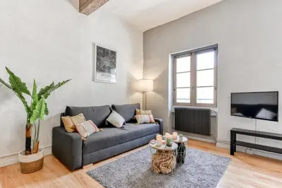 a living room with a couch and a tv at Le Cocon / Free Parking / Wifi / Netflix in Carcassonne