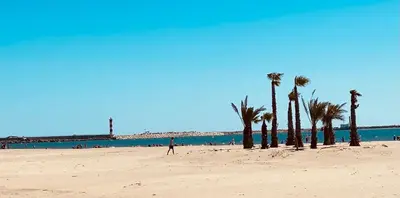 a person walking on a beach with palm trees at La maison de Jade Le Mabrouka in Port-la-Nouvelle