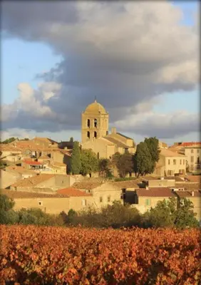 a village with a church and a field of flowers at La Maison de Leontine in La Livinière