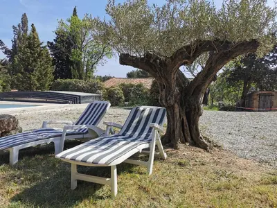 two blue and white chairs sitting next to a tree at La Pinède in Azillanet