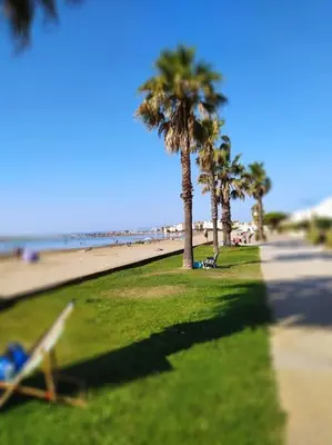 a park with palm trees and a beach at Joli appartement avec grande et belle terrasse, au pied de la plage du Grazel! in Gruissan