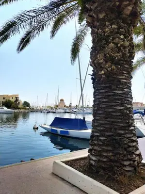 a palm tree and a boat in a body of water at Joli appartement avec grande et belle terrasse, au pied de la plage du Grazel! in Gruissan