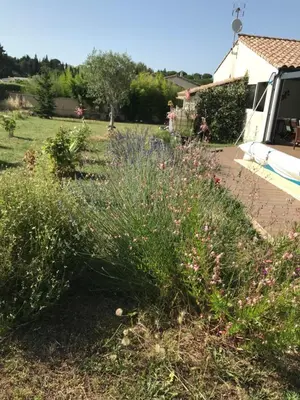 a garden with flowers in a yard with a house at La Rosela de la Cité in Palaja