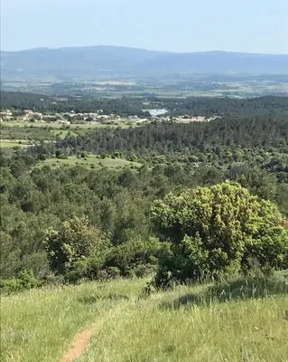 a view from the top of a hill with trees at La Rosela de la Cité in Palaja