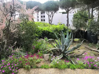a garden of flowers and plants with a building in the background at Gruissan: Maisonnette T2 avec jardin in Gruissan
