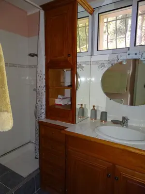 a bathroom with a sink and a shower and a mirror at La Métairie de Lamourade, gîte nature in Saint-Ferriol