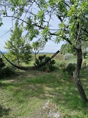 a hammock hanging from a tree in a field at Gîte Les Romarins Vue exceptionnelle ! in Saint-Jean-de-Minervois