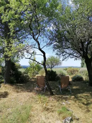two chairs sitting in the shade of two trees at Gîte Les Romarins Vue exceptionnelle ! in Saint-Jean-de-Minervois