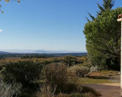 a view of the desert with a pine tree at Gîte Les Romarins Vue exceptionnelle ! in Saint-Jean-de-Minervois