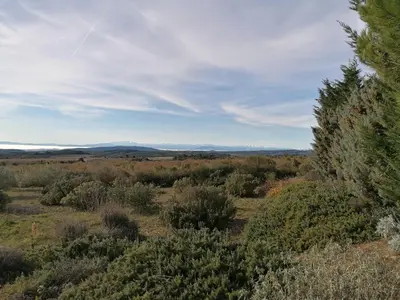 a view of a field with trees and bushes at Gîte Les Romarins Vue exceptionnelle ! in Saint-Jean-de-Minervois
